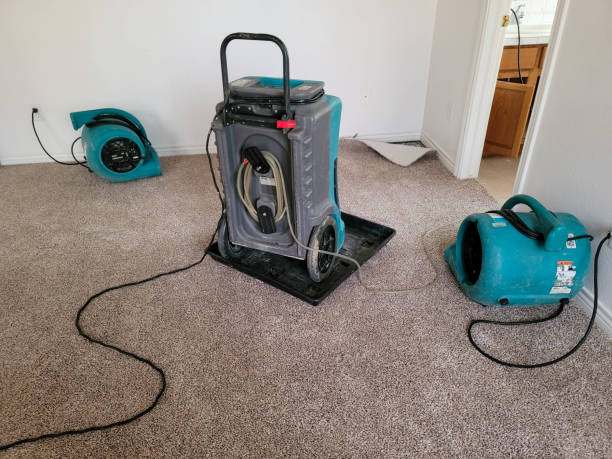 Best Water damage restoration insurance claims  in Gregory, SD