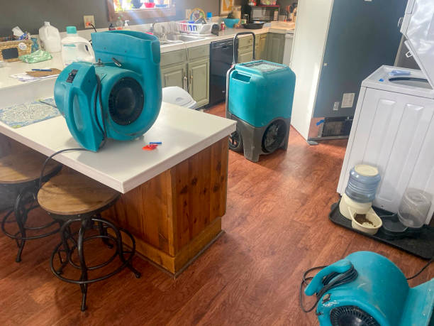 Best Water damage restoration near me  in Gregory, SD
