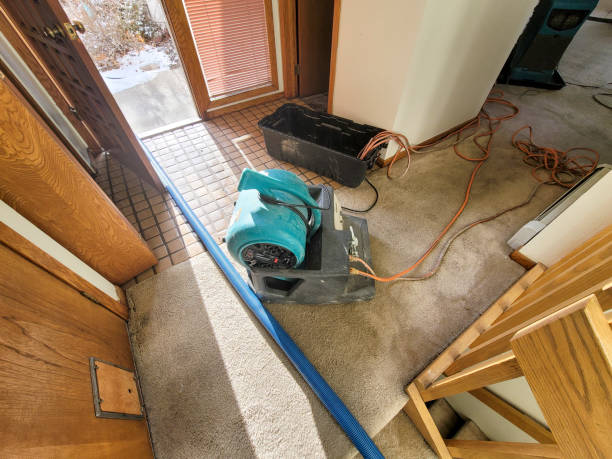 Best Carpet water damage restoration  in Gregory, SD