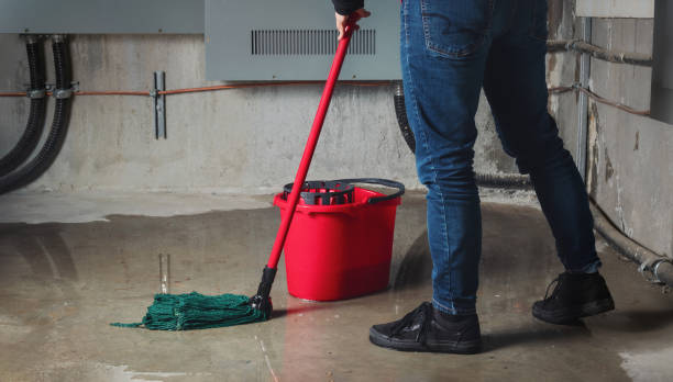 Best Water damage mitigation services  in Gregory, SD