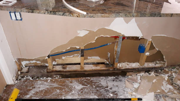 Best Water damage contractors near me  in Gregory, SD