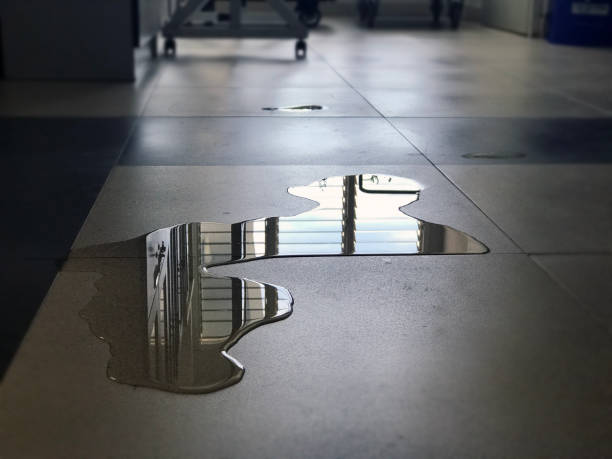Best 24-hour water damage restoration  in Gregory, SD