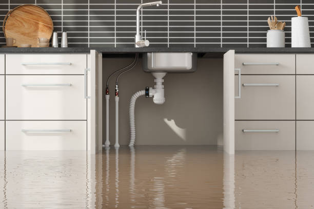 Best Flooded house restoration  in Gregory, SD