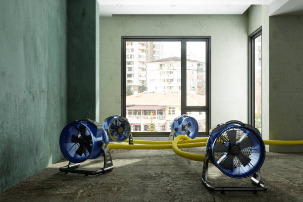 Reliable Gregory, SD Water damage restoration Solutions