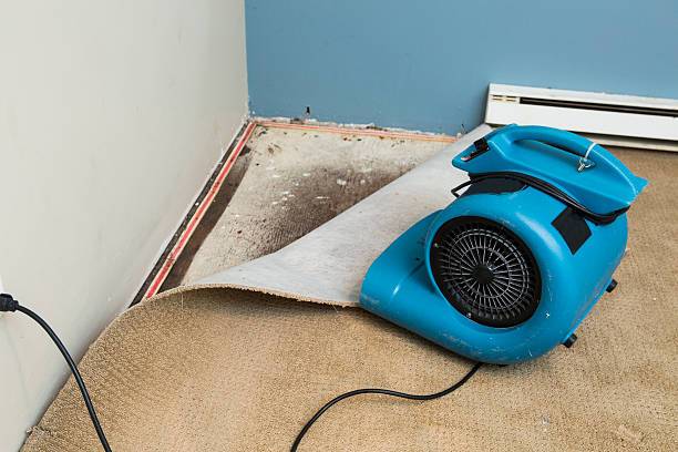 Best Residential water damage restoration  in Gregory, SD